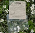 Lacewing Attractant